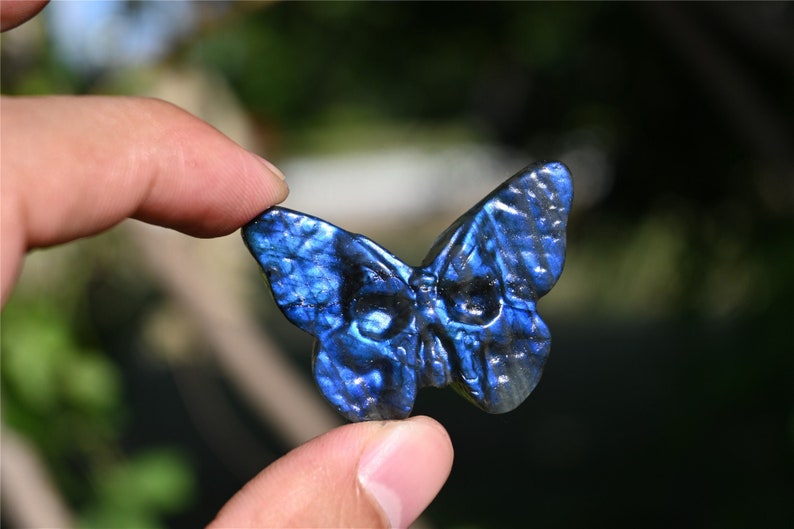 1.3'' Hand carved Natural LabradoriteButterfly skull , Quartz Crystal，Chakra Reiki healing，Crystal butterfly skull，Crystal gift ornament