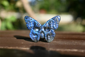 1.3'' Hand carved Natural LabradoriteButterfly skull , Quartz Crystal，Chakra Reiki healing，Crystal butterfly skull，Crystal gift ornament