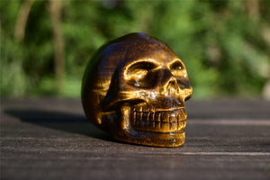 2'' Natural Carved Tiger' eye skull，crystal carved skull，crystal skull，Quartz Crystal，crystal skull healing stone 1PC