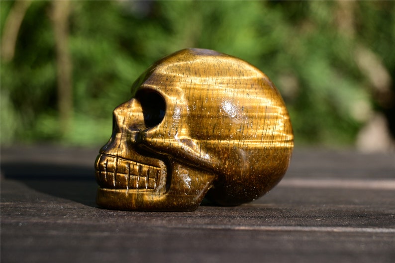 2'' Natural Carved Tiger' eye skull，crystal carved skull，crystal skull，Quartz Crystal，crystal skull healing stone 1PC