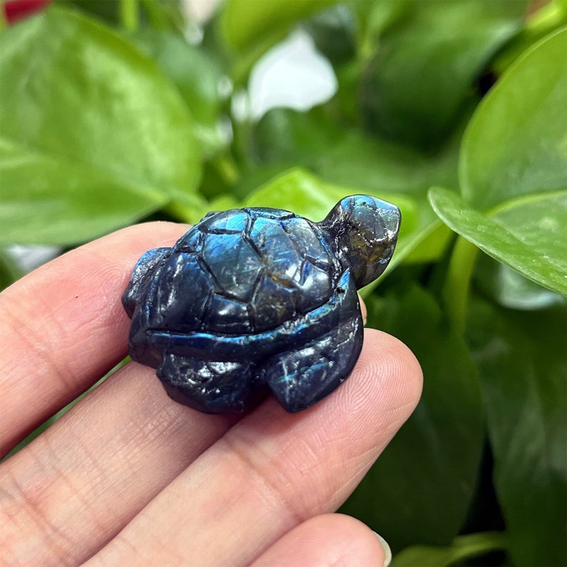 Natural Hand Carved Labradorite Turtle,Crystal Quartz Turtle,Home Decoration,Reiki Healing,Crystal Chakra,Mineral Specimen,Crystal Gifts