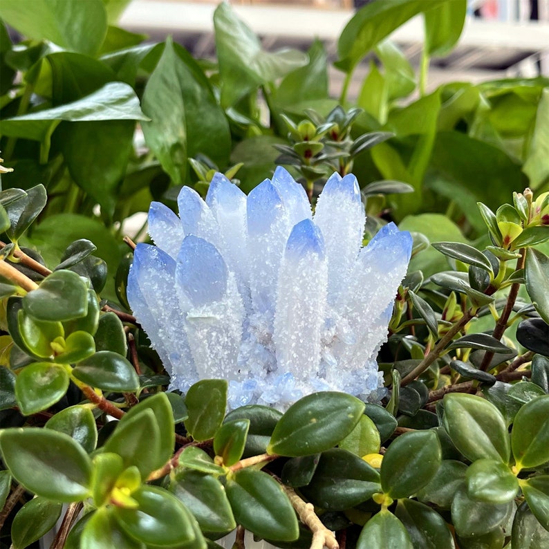 250g+ Blue Point Quartz Cluster,Quartz Crystal Cluster,Home Decoration,Crystal Chakra,Crystal Collection,Mineral Specimens,Reiki Healing 1PC