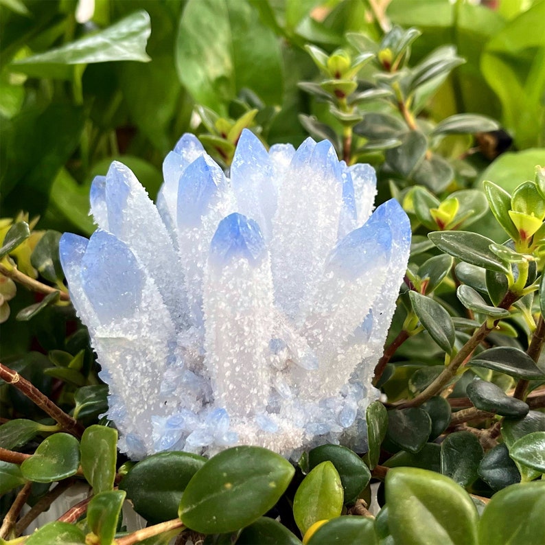 250g+ Blue Point Quartz Cluster,Quartz Crystal Cluster,Home Decoration,Crystal Chakra,Crystal Collection,Mineral Specimens,Reiki Healing 1PC