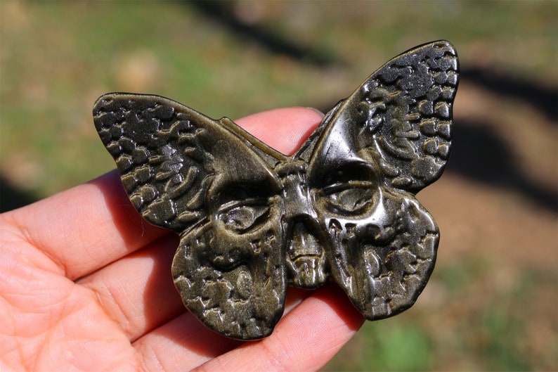 2.5" Natural Gold Obsidian Carved Butterfly Skull,Crystal Butterfly Skull Carving,Gold Obsidian Skull ,Healing，Crystal Decor,Crystal Gifts