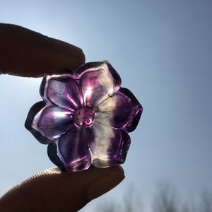 1pc Natural Fluorite Flower,Fluorite Flower Carving,Quartz Crystal Flower,Collection,Handmade Gifts,Crystal Carved,Reiki Healing
