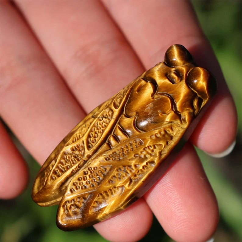 1.8" Natural Tiger'eyes Jasper Carved Cicada,Quartz Crystal Pendant,Cicada Statue,Crystal Cicada,Reiki Healing,Crystal gifts 1PC