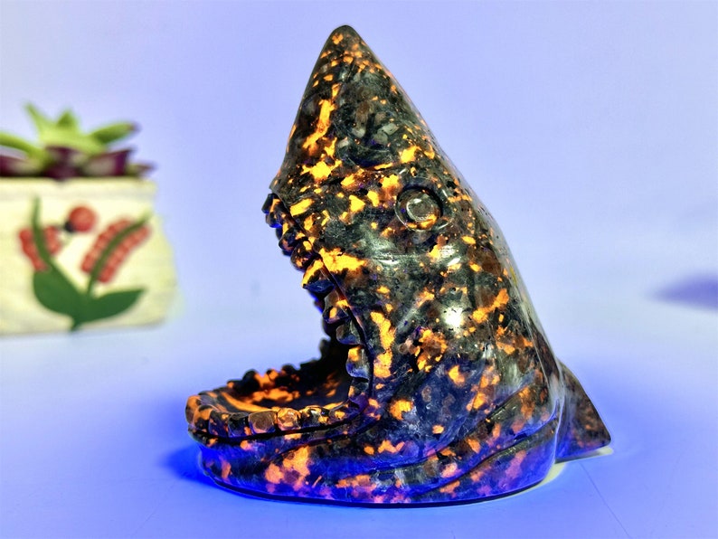 4.4" Natural Yooperlite Hand Carved Shark Head,Crystal Quartz Skull,Shark Carving,EnergyCrystal,Home Decor,Reiki healing,Crystal gift 1PC