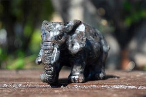 2.3'' Natural Hand Carved picture stone elephant，Crystal gift，Crystal elephant，Birthday gift，Quartz Crystal，crystal skull，Crystal healing