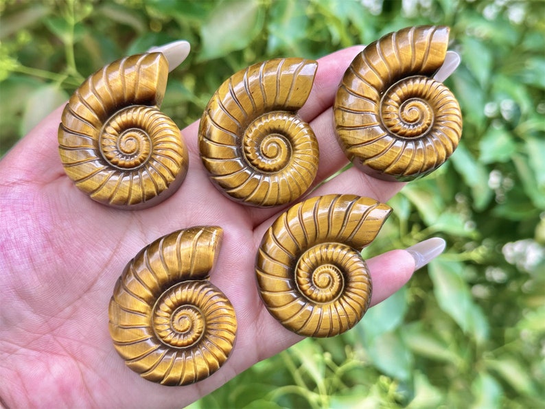 2'' Natural carved Tiger's Eye Spiral shell,Crystal whorl,Home Decor,Crystal Quartz,Crystal Specimen,Crystal healing,Crystal gifts 1PC