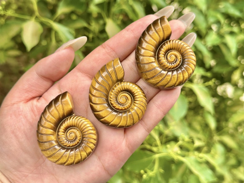 2'' Natural carved Tiger's Eye Spiral shell,Crystal whorl,Home Decor,Crystal Quartz,Crystal Specimen,Crystal healing,Crystal gifts 1PC