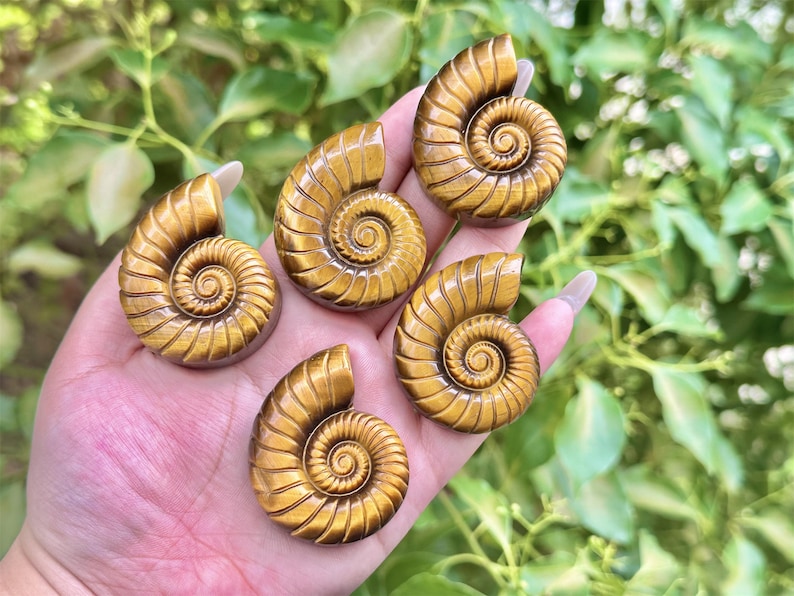 2'' Natural carved Tiger's Eye Spiral shell,Crystal whorl,Home Decor,Crystal Quartz,Crystal Specimen,Crystal healing,Crystal gifts 1PC