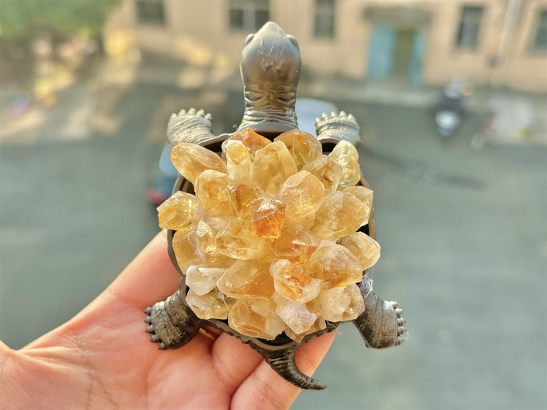 4.6" Natural Amethyst/Citrine Cluster Turtle,Quartz Crystal Turtle,Hand Carved,Energy Turtle,Crystal Vug,Crystal animal,Crystal Gifts 1PC