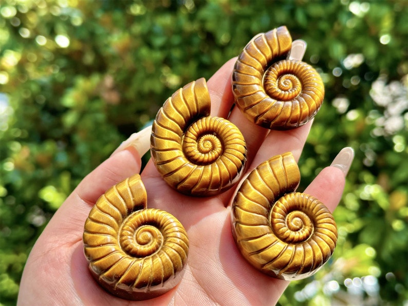 2'' Natural carved Tiger's Eye Stone Spiral shell,Crystal whorl,Home Decor,Crystal Quartz,Crystal Specimen,Crystal healing,Crystal gifts 1PC