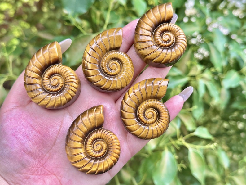 2'' Natural carved Tiger's Eye Stone Spiral shell,Crystal whorl,Home Decor,Crystal Quartz,Crystal Specimen,Crystal healing,Crystal gifts 1PC