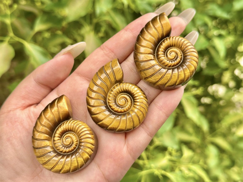 2'' Natural carved Tiger's Eye Stone Spiral shell,Crystal whorl,Home Decor,Crystal Quartz,Crystal Specimen,Crystal healing,Crystal gifts 1PC