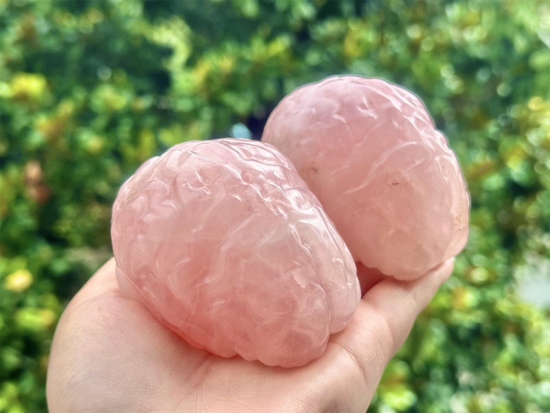 3.2" Natural Rose Quartz Hand Carved Cerebrum,Crystal Quartz Skull,Cerebrum Carving,Energy crystal,Reiki healing,Home Decor,Crystal gift 1PC