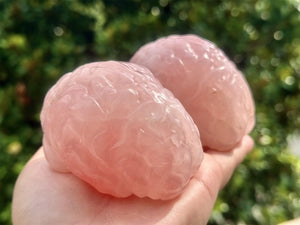 3.2" Natural Rose Quartz Hand Carved Cerebrum,Crystal Quartz Skull,Cerebrum Carving,Energy crystal,Reiki healing,Home Decor,Crystal gift 1PC