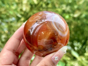 1PC 50mm+ Natural Red Agate Sphere,Quartz Crystal,Crystal Ball Carving,Reiki Healing Crystal,Home Decor,Energy Crystal,Crystal gifts 1PC