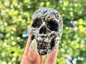 3.4" Natural Yooperlite Hand Carved Cerebrum Skull,Crystal quartz Skull,Skull Carving,Energy crystal,Reiki healing,Home Decor,Crystal gifts