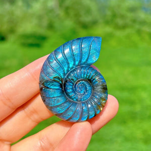 1PC Natural Labradorite Spiral Shell,Quartz Crystal Conch,Reiki Healing,Crystal Carving,Home Decoration,Crystal Gift,Mineral Specimen