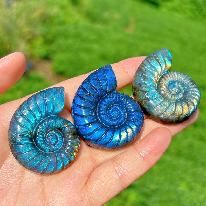 1PC Natural Labradorite Spiral Shell,Quartz Crystal Conch,Reiki Healing,Crystal Carving,Home Decoration,Crystal Gift,Mineral Specimen