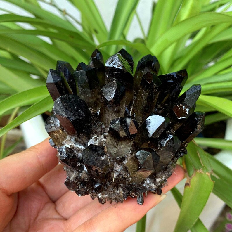 320g+ Smoky Quartz Cluster Crystal,Quartz Point VUG,Mineral Specimen,Healing Degaussing,Decor Collection,Crystal Gifts,Reiki Healing