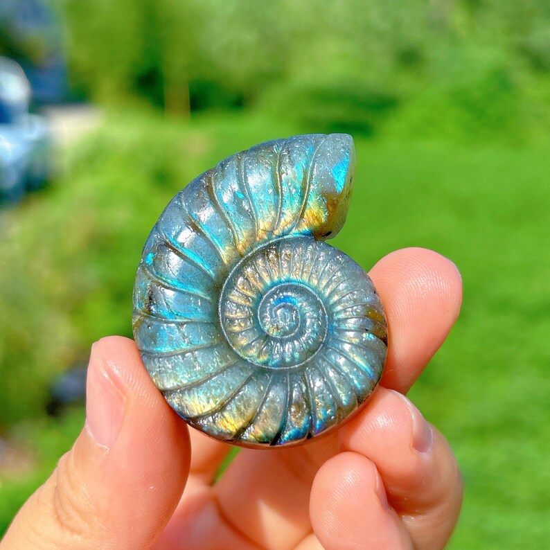 1PC Natural Labradorite Spiral Shell,Quartz Crystal Conch,Reiki Healing,Crystal Carving,Home Decoration,Crystal Gift,Mineral Specimen