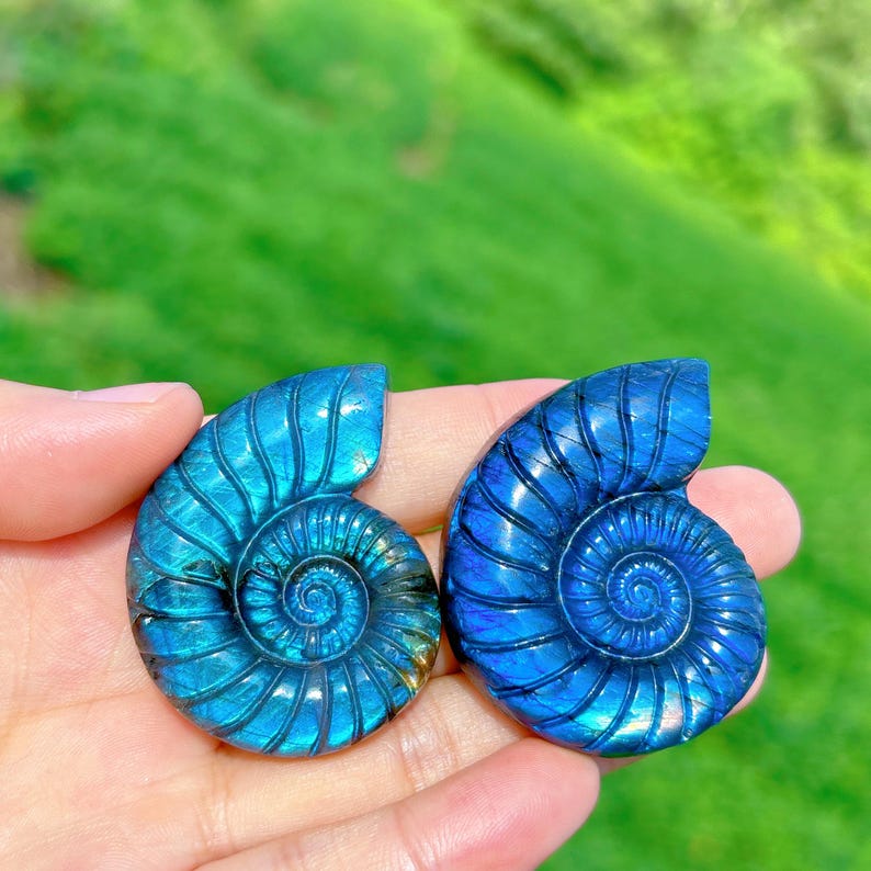 1PC Natural Labradorite Spiral Shell,Quartz Crystal Conch,Reiki Healing,Crystal Carving,Home Decoration,Crystal Gift,Mineral Specimen