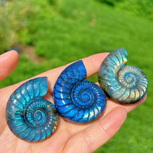 1PC Natural Labradorite Spiral Shell,Quartz Crystal Conch,Reiki Healing,Crystal Carving,Home Decoration,Crystal Gift,Mineral Specimen