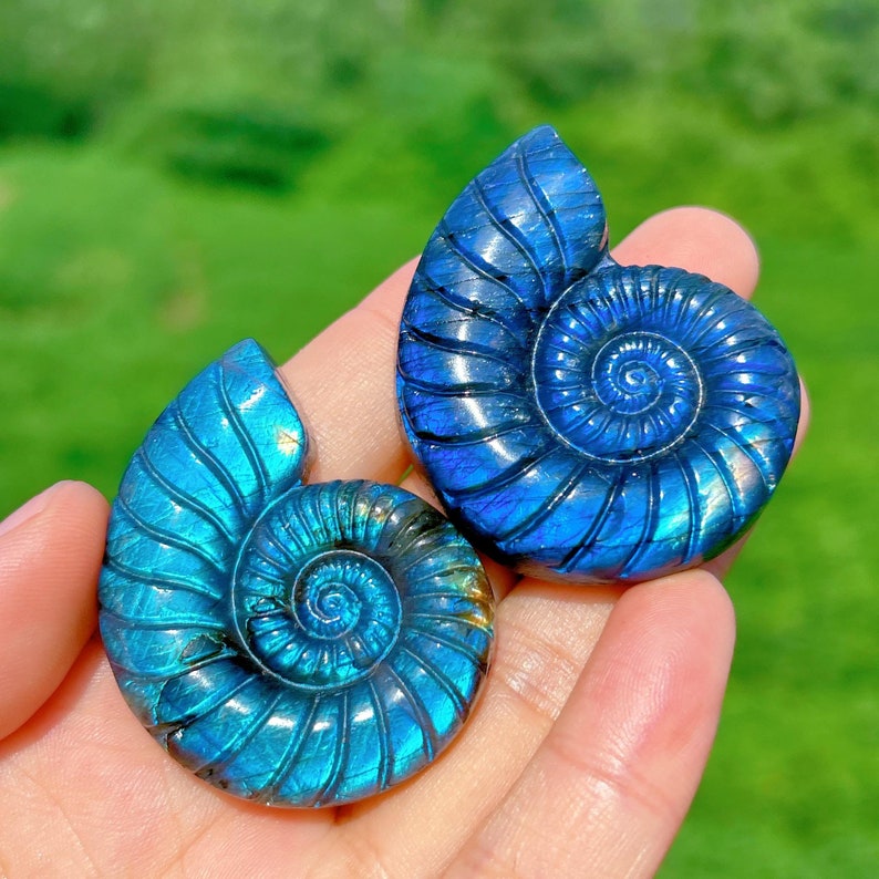 1PC Natural Labradorite Spiral Shell,Quartz Crystal Conch,Reiki Healing,Crystal Carving,Home Decoration,Crystal Gift,Mineral Specimen