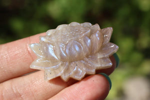 1.5" Natural moonstone Lotus , Quartz Crystal Carved,Crystal Heal Reiki, Home decoration, Crystal Gifts