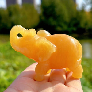 1PC Natural Yellow Calcite Elephant,Quartz Crystal Elephant,Mineral Specimen,Energy Crystal,Home Decoration,Crystal Sculpture,Crystal Gifts