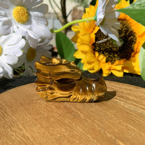2“ Natural Tiger's Eye Dragon Skull,Crystal Skull,Crystal Heal,Crystal Dragon,Crystal Sculpture,Mineral specimen,Crystal Gift,Home Decor