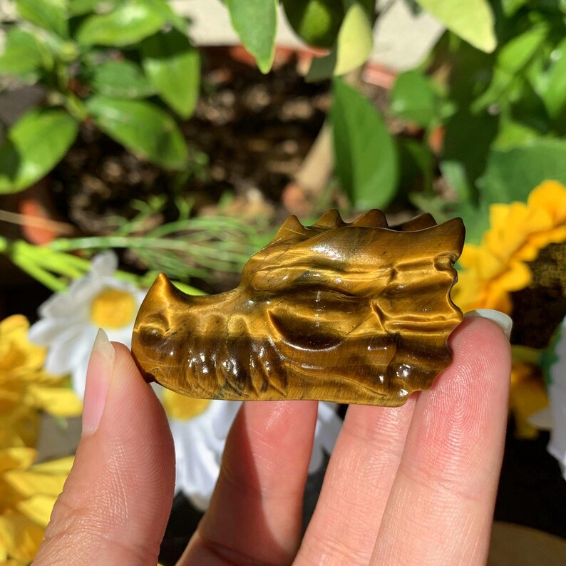 2“ Natural Tiger's Eye Dragon Skull,Crystal Skull,Crystal Heal,Crystal Dragon,Crystal Sculpture,Mineral specimen,Crystal Gift,Home Decor
