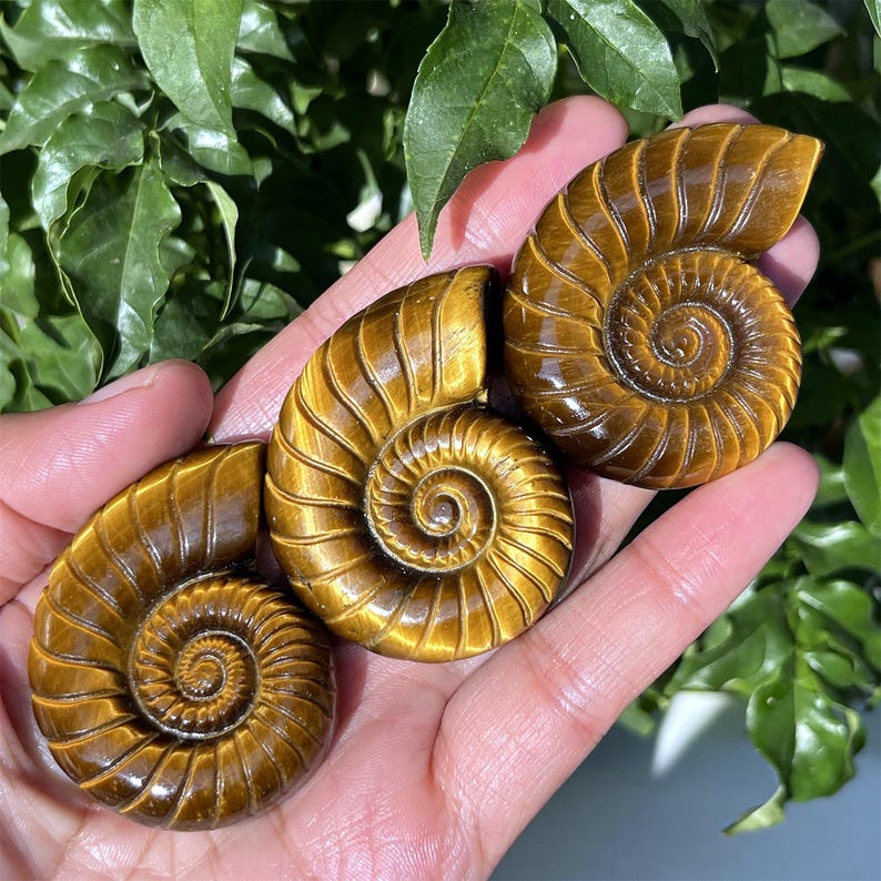 1.8" Natural Tiger's Eye Jasper Spiral Shell, Quartz Crystal Spiral Shell, Crystal Shell, Home Decoration, Reiki Healing, Crystal Gifts