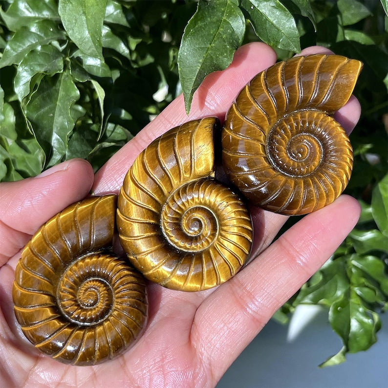 1.8" Natural Tiger's Eye Jasper Spiral Shell, Quartz Crystal Spiral Shell, Crystal Shell, Home Decoration, Reiki Healing, Crystal Gifts