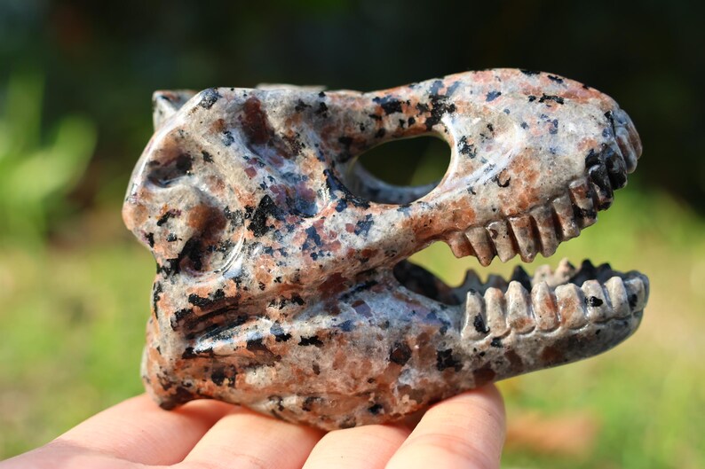 3" Natural Yooperlite dinosaur skull, Quartz Crystal Carved,Crystal Heal Reiki, Home decoration, Crystal Gifts
