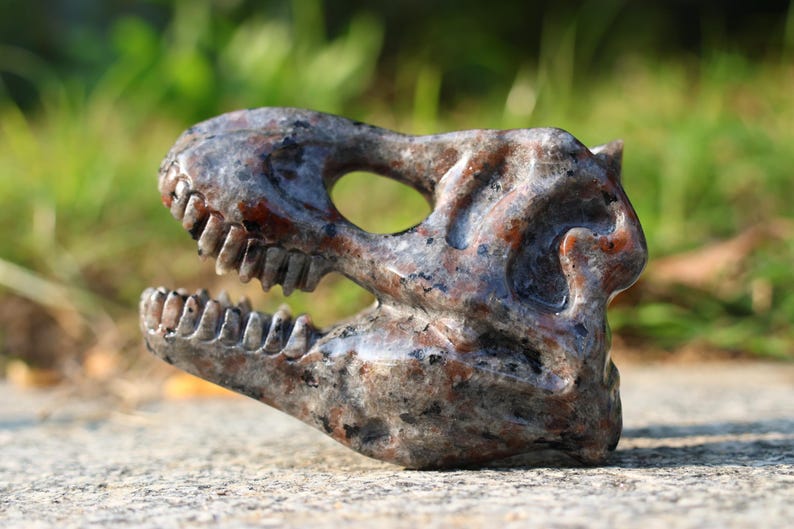 3" Natural Yooperlite dinosaur skull, Quartz Crystal Carved,Crystal Heal Reiki, Home decoration, Crystal Gifts