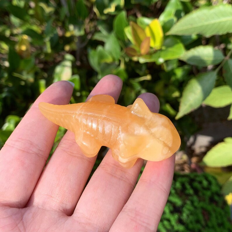 2.5“ Natural Mix Quartz Salamander,Crystal Salamander,Crystal Animal,Crystal Heal,Crystal Sculpture,Mineral specimen,Crystal Gift,Home Decor