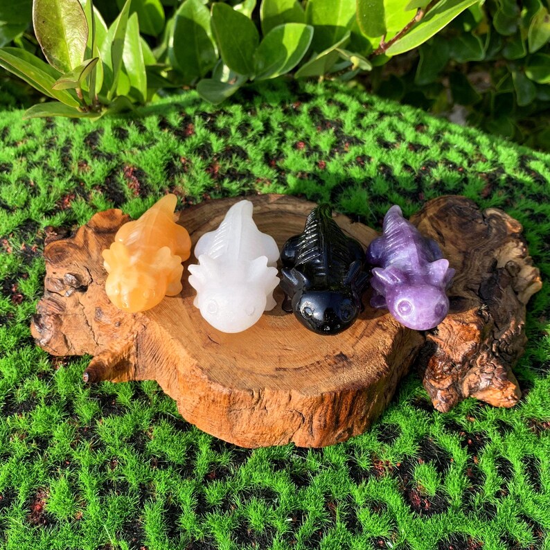 2.5“ Natural Mix Quartz Salamander,Crystal Salamander,Crystal Animal,Crystal Heal,Crystal Sculpture,Mineral specimen,Crystal Gift,Home Decor