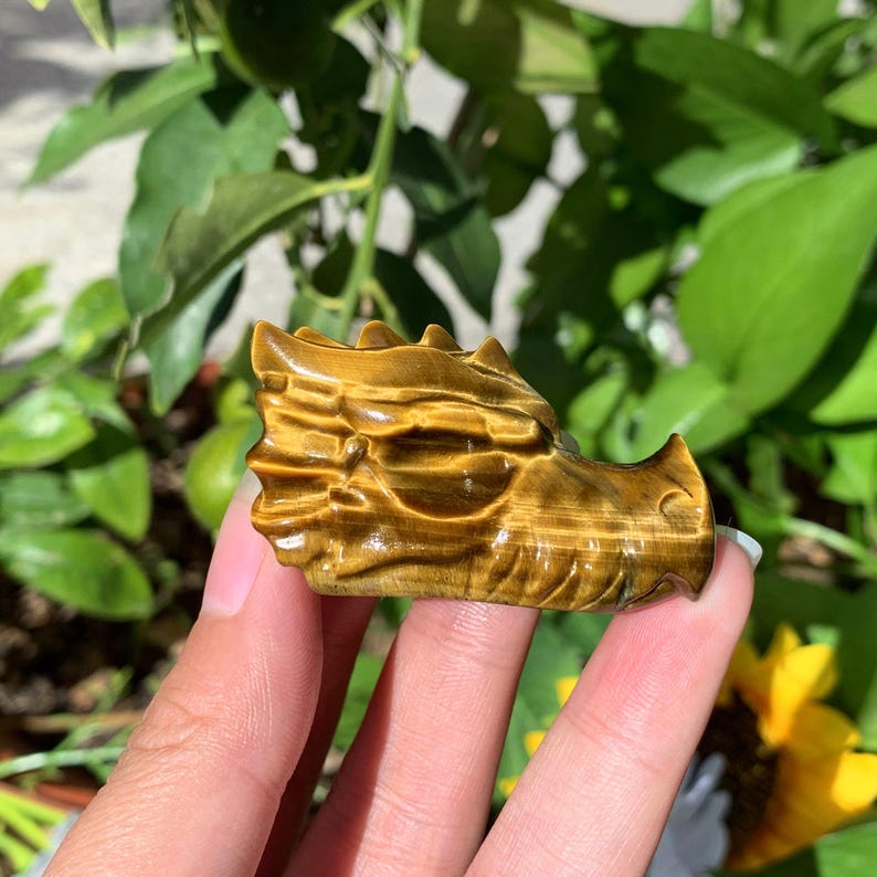2“ Natural Tiger's Eye Dragon Skull,Crystal Skull,Crystal Heal,Crystal Dragon,Crystal Sculpture,Mineral specimen,Crystal Gift,Home Decor