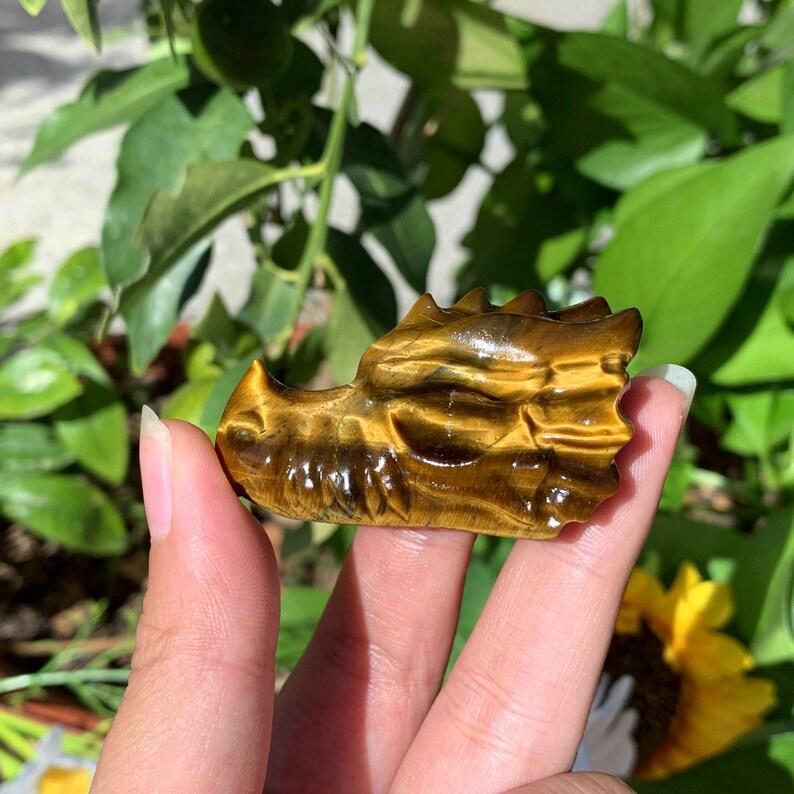 2“ Natural Tiger's Eye Dragon Skull,Crystal Skull,Crystal Heal,Crystal Dragon,Crystal Sculpture,Mineral specimen,Crystal Gift,Home Decor