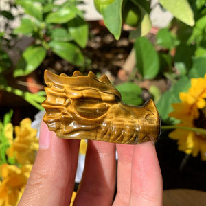 2“ Natural Tiger's Eye Dragon Skull,Crystal Skull,Crystal Heal,Crystal Dragon,Crystal Sculpture,Mineral specimen,Crystal Gift,Home Decor