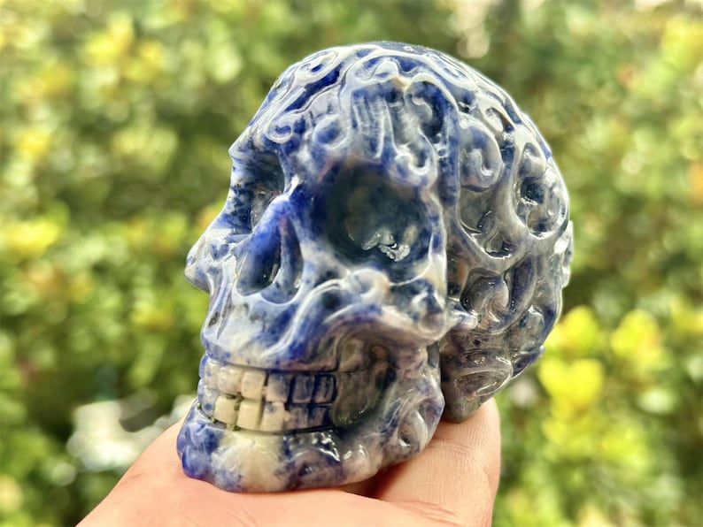2.6" Natural Sodalite Hand Carved Cerebrum Skull,Crystal quartz Skull,Skull Carving,Energy crystal,Reiki healing,Home Decor,Crystal gift 1PC