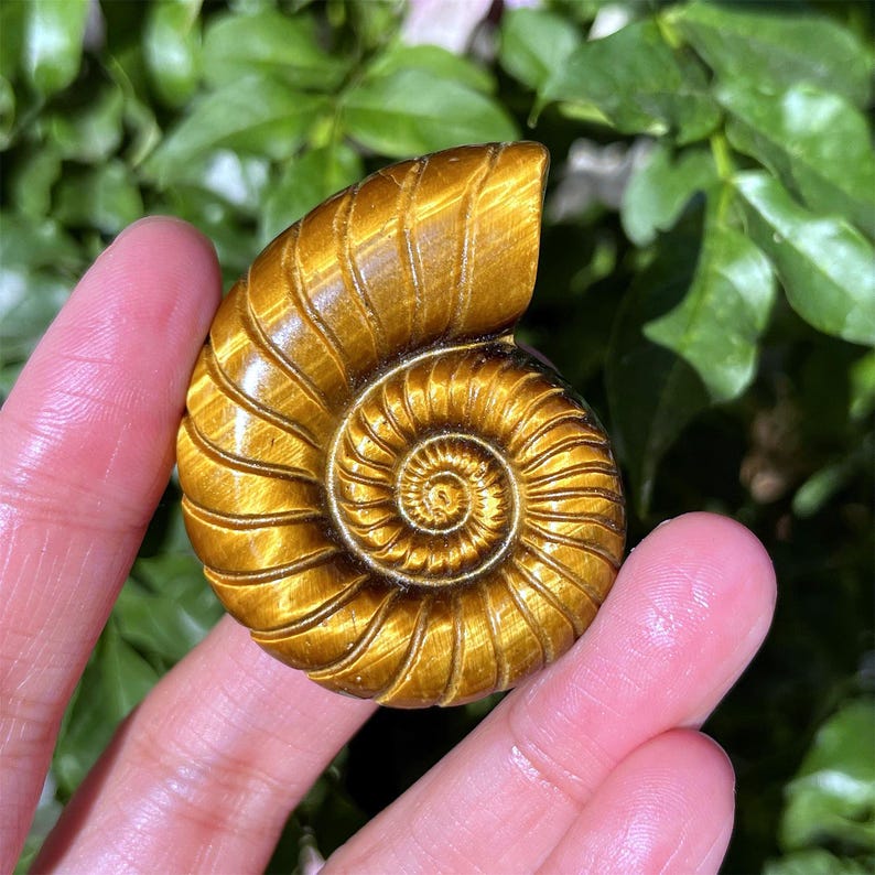 1.8" Natural Tiger's Eye Jasper Spiral Shell, Quartz Crystal Spiral Shell, Crystal Shell, Home Decoration, Reiki Healing, Crystal Gifts
