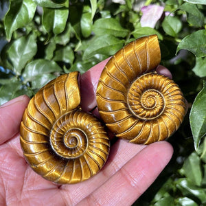 1.8" Natural Tiger's Eye Jasper Spiral Shell, Quartz Crystal Spiral Shell, Crystal Shell, Home Decoration, Reiki Healing, Crystal Gifts