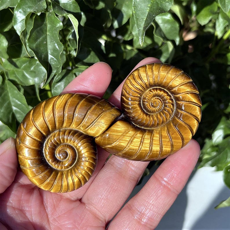 1.8" Natural Tiger's Eye Jasper Spiral Shell, Quartz Crystal Spiral Shell, Crystal Shell, Home Decoration, Reiki Healing, Crystal Gifts