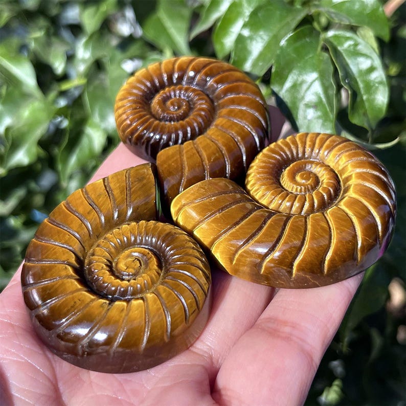 1.8" Natural Tiger's Eye Jasper Spiral Shell, Quartz Crystal Spiral Shell, Crystal Shell, Home Decoration, Reiki Healing, Crystal Gifts