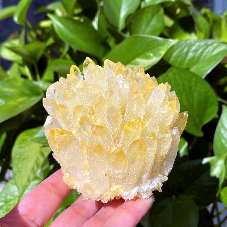 400g+ Yellow Quartz Crystal Cluster,Yellow Quartz Point,Crystal VUG,Home Decoration,Crystal Collection,Mineral Specimens,Reiki Healing Gifts