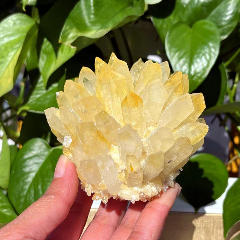 400g+ Yellow Quartz Crystal Cluster,Yellow Quartz Point,Crystal VUG,Home Decoration,Crystal Collection,Mineral Specimens,Reiki Healing Gifts